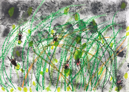 ホタルのすむまち