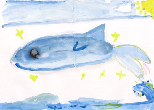 イルカの青い空ときれいな海