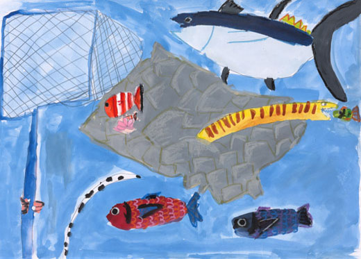 きれいな海と元気な魚たち