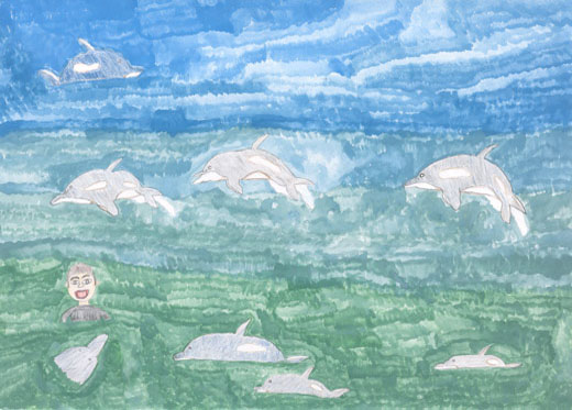 イルカたちと仲良く水遊び