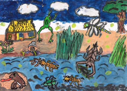 川の蛍と生き物たち