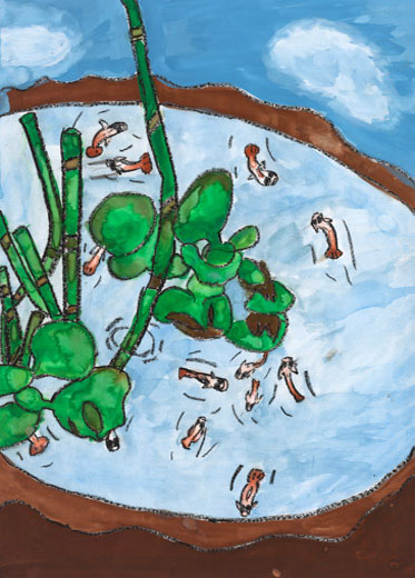 わが家のメダカ