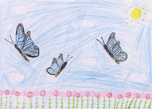 アサギマダラの旅