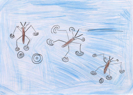 さんびきのアメンボウ