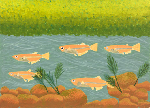 守りたい自然と生き物