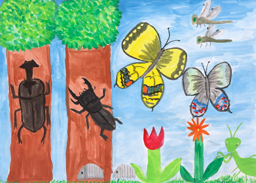 森でくらすこん虫