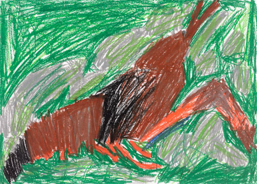 ザリガニの住む川を守る