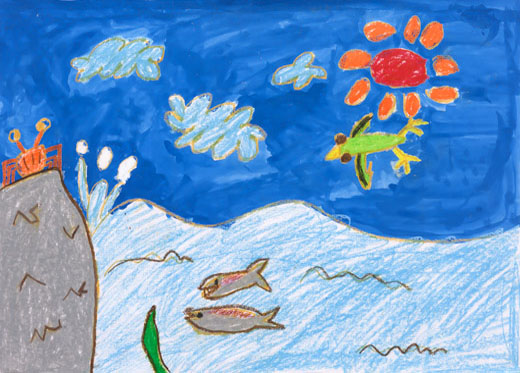 きれいな水と生きもの