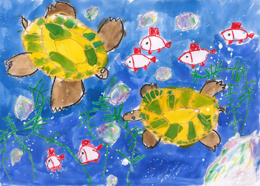 カメと魚が元気いっぱい