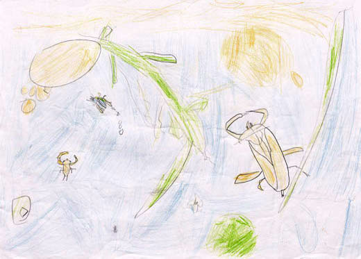 タガメとゲンゴロウ