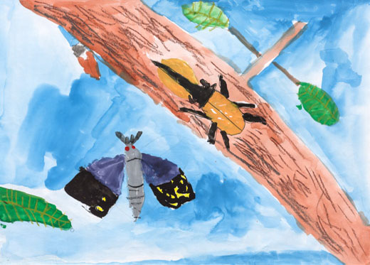 こん虫にやさしい森をつくる