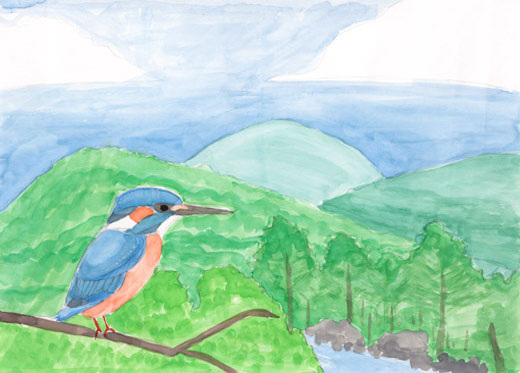 カワセミの夏