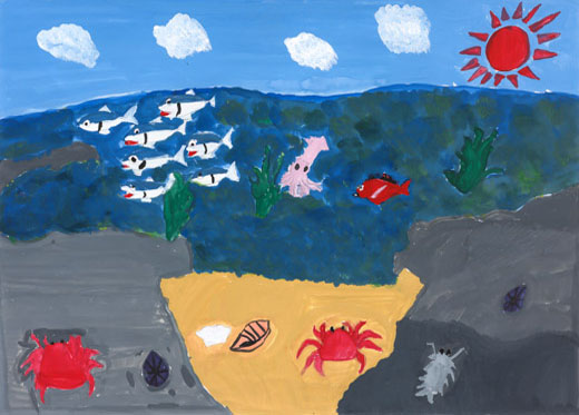 きれいな海にいる生き物たち