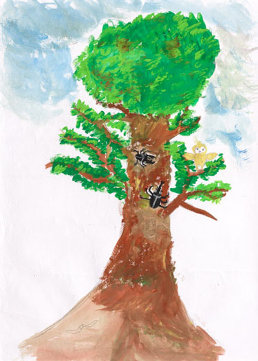 生き物たちが自由にくらす様子