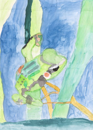 ニホンアマガエルの住みか