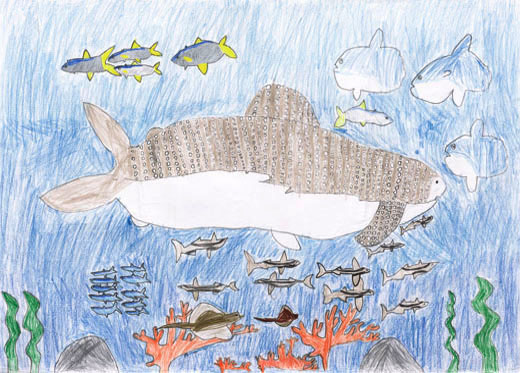 ゴミのない海で泳ぐ