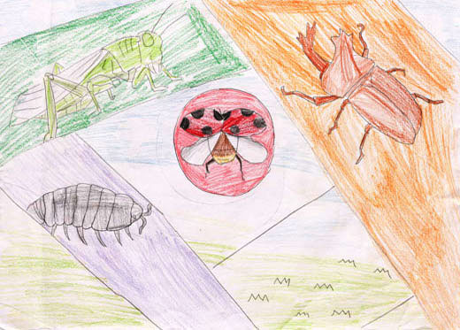 俺らだって生きている