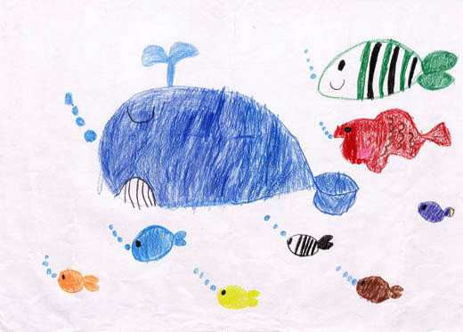 くじらのショー