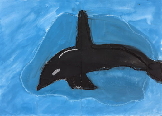 海のシャチ