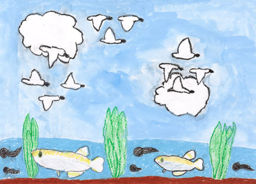 田んぼのまわりにすむ生き物たち