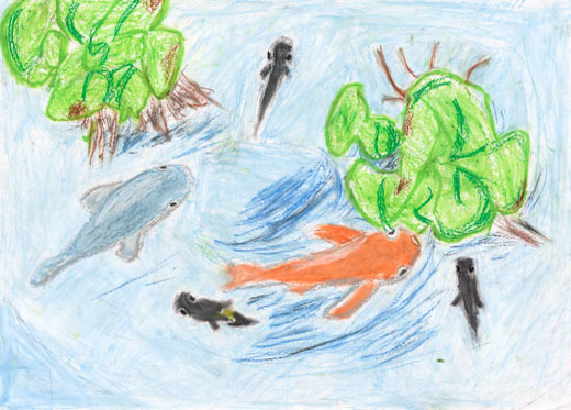 元気いっぱいメダカ