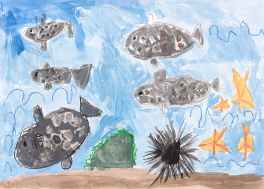 ふくいけんのうみ