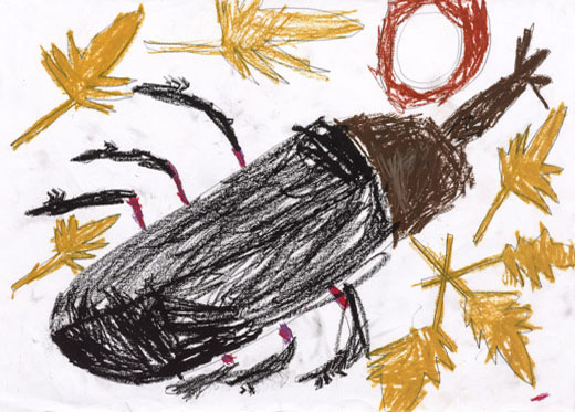 げんきなかぶとむし