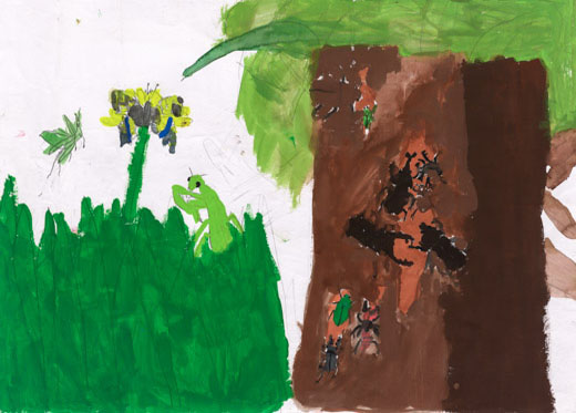 虫のかんきょう