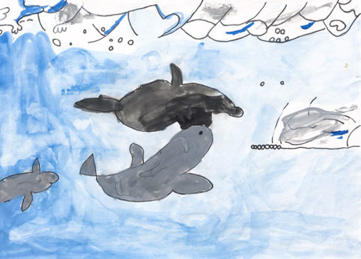 イルカすいすい！