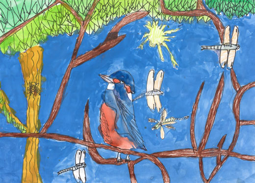 カワセミのせかい