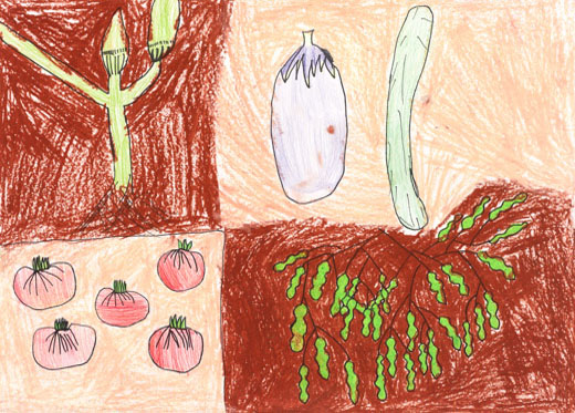 野さいのしゅうかく・はたけ