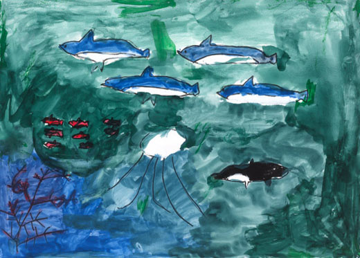 きれいな海！！