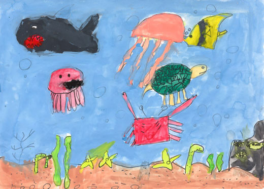 うみのいきものはっけん！！