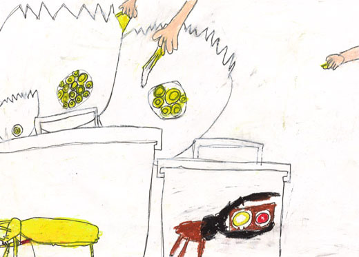 めずらしい金クワガタ大こん虫大カブト