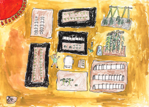 元気な畑のしょくぶつたち