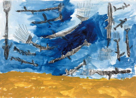 大人のシャチたち