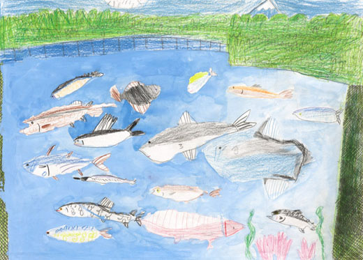 いろんな魚大しゅうごう