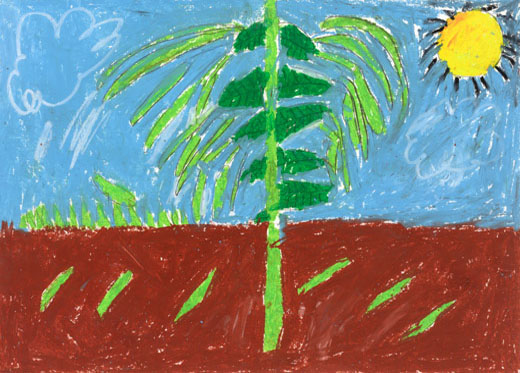 元気なインゲン