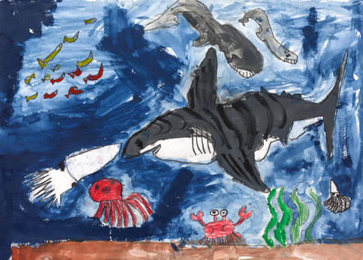 さい強、ホホジロザメ