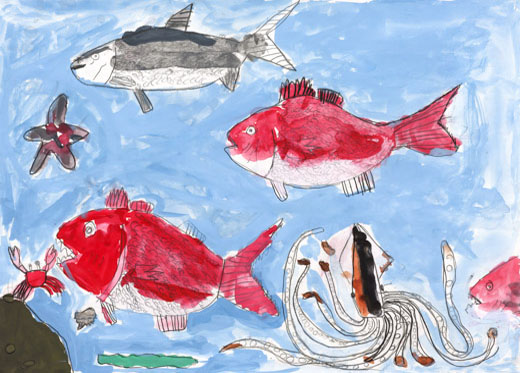 海の中にいる魚