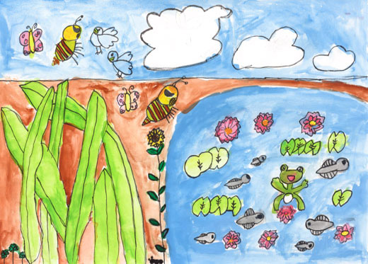 生きものたちの自然