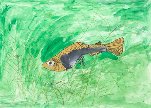 メダカのさんらん