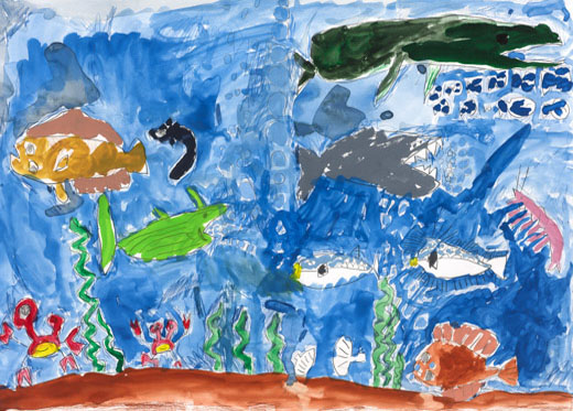 きれいなうみのさかなたち