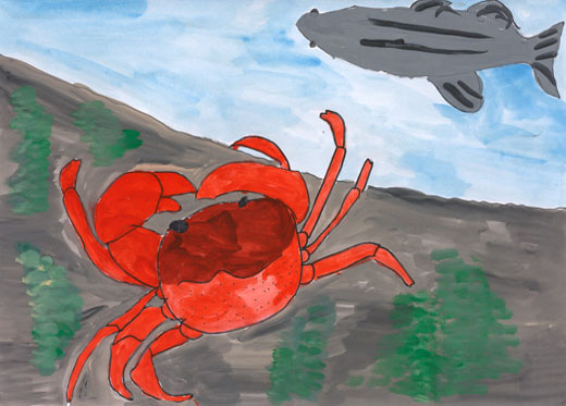 きれいな川でみつけたサワガニ