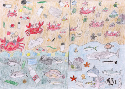 ゴミをすてない海をきれいに