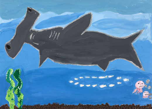 ゆうがに泳ぐシュモクザメ