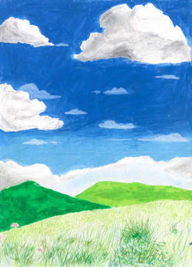 動物がいられる自然な環境