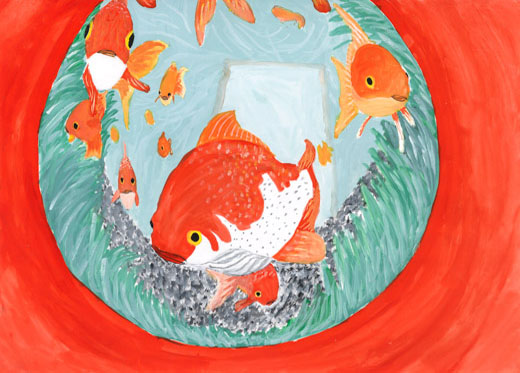 金魚から見た世界