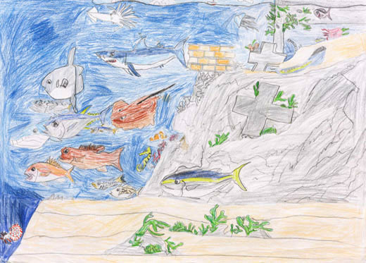 海をきれいにしよう