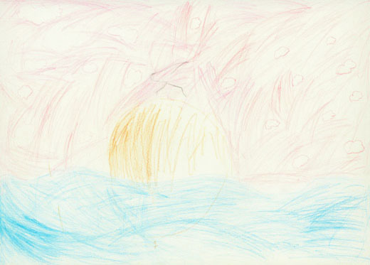 きれいな雲　水と生き物